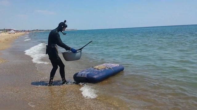 Подводная охота. Зачем нужен был утюг на подводной охоте? смотреть онлайн