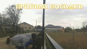 Посадка кустарников. Самые морозостойкие виды. Советы для начинающих садоводов.