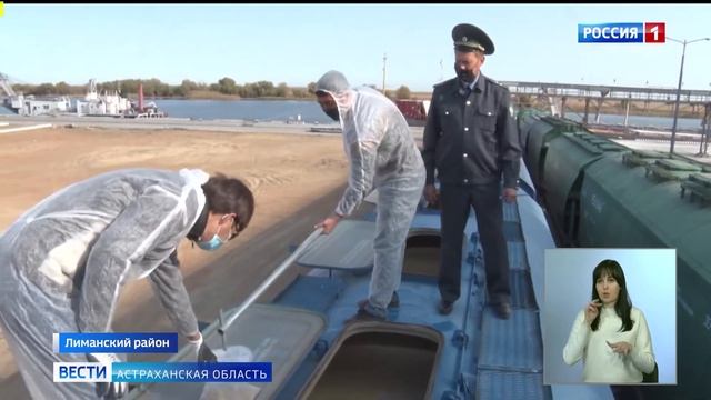 В Астраханской области специалисты Россельхознадзора проверяют экспортируемое зерно смотреть онлайн