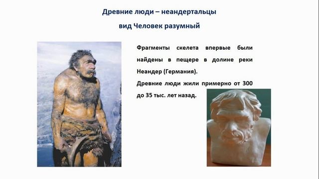 Тема 52. Этапы и направления эволюции человека смотреть онлайн