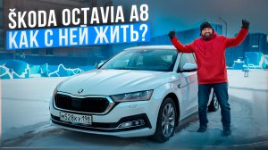 SKODA OCTAVIA A8 2.0 отзыв владельца, гарантия и сервис в 2024 году