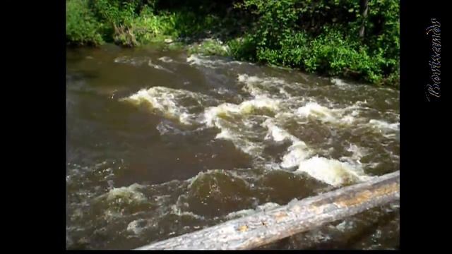 The River Kushtumga is the nature's treasure of the South Urals смотреть онлайн