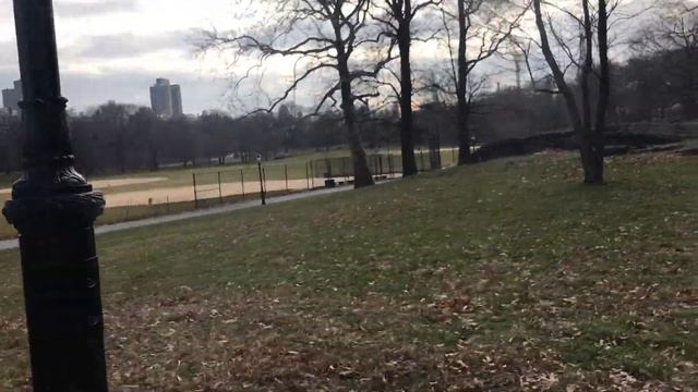 Walk through Central Park New York City смотреть онлайн