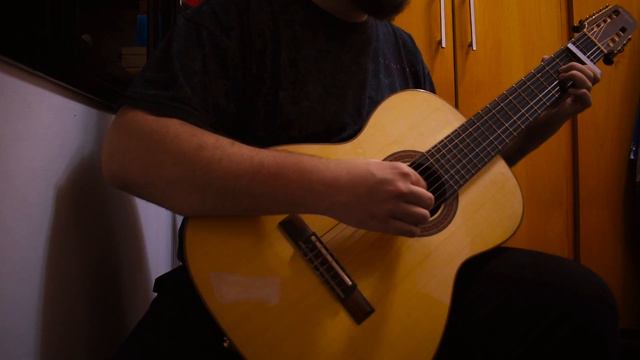 Ébrios Errantes - The Dragonborn Comes (Bardcore | Medieval Style Cover)