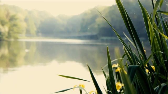 Canon C100 video test + Lens 18-135 mm смотреть онлайн