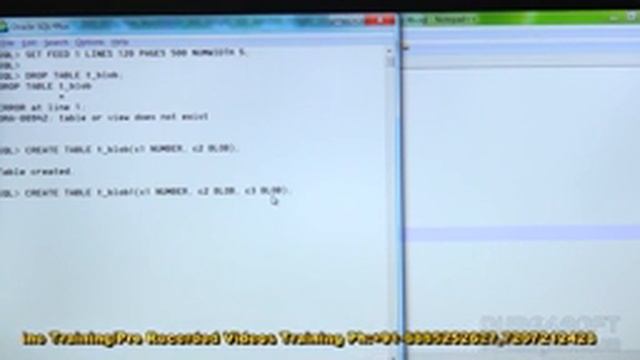 Oracle Tutorial || online training|Adv Sql | Large Objets Part - 1 by basha смотреть онлайн