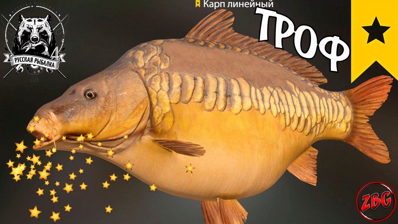 КАРП ЛИНЕЙНЫЙ ТРОФЕЙНЫЙ ( ТРОФ ) оз. ЯНТАРНОЕ ⭐ РУССКАЯ РЫБАЛКА 4 | RUSSIAN FISHING 4 @Z-B-G смотреть онлайн