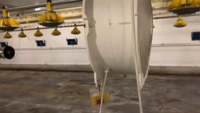 Вентиляция в птичнике для содержания бройлеров смотреть онлайн