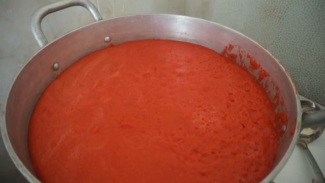 Зоопарк и Дикие Животные