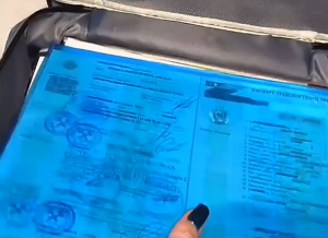 Хранение документов дома - Наводим порядок в бумагах.Супер сумка Организация хранения документов.mp4