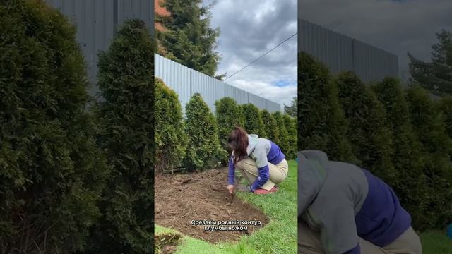 Правильная установка бордюрной ленты в клумбу. Как установить бордюрную ленту? смотреть онлайн