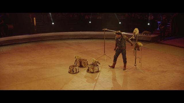 ИДОЛ 2015 "ДРЕССИРОВАННЫЙ ЕНОТЫ-НОСУХИ" "TRAINED COATIS" смотреть онлайн