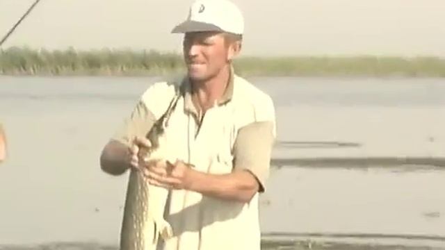 Диалоги о рыбалке. Константин Кузьмин. Ужение хищника на спиннинг смотреть онлайн