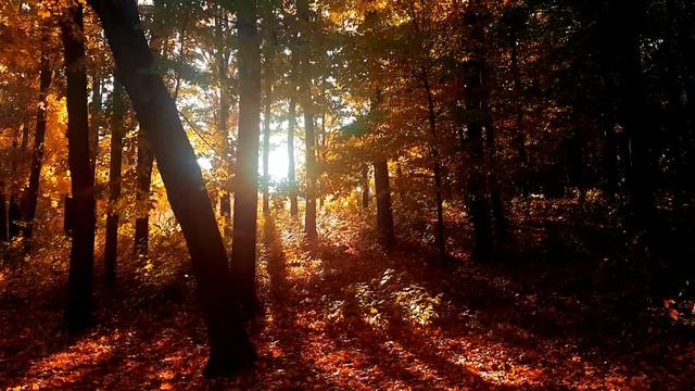 Душа поэта смотреть онлайн