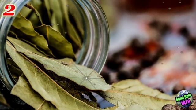 Положите Лавровый Лист Под Подушку и Увидите, Что Произойдет!