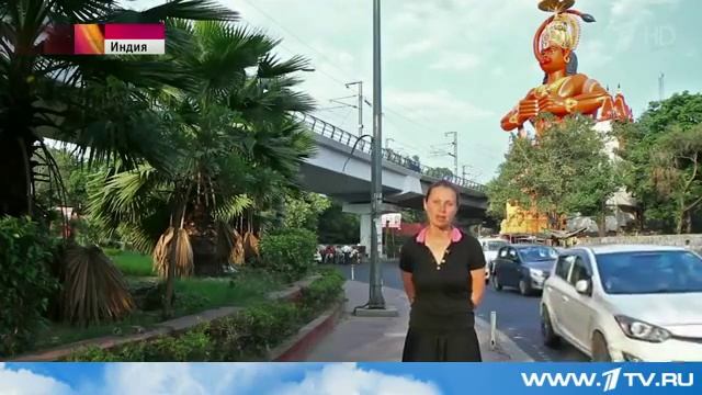 14 11 08 В Индии стаи макак хозяйничают в крупных городах смотреть онлайн