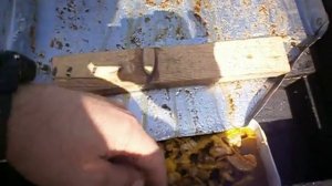 Солнечная воскотопка своими руками!