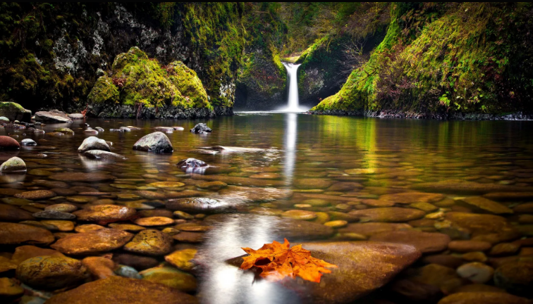 Успокаивающие звуки природы для сна ✦ Пение соловья в лесу ✦ Пение Птиц ✦ Релакс смотреть онлайн