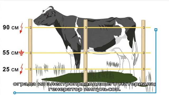Электропастух для КРС