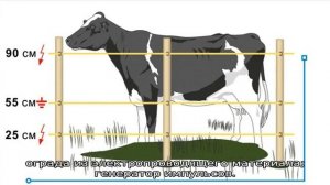 Электропастух для КРС