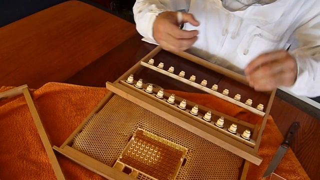 Никот Вывод Маток. смотреть онлайн