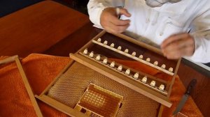 Никот Вывод Маток.