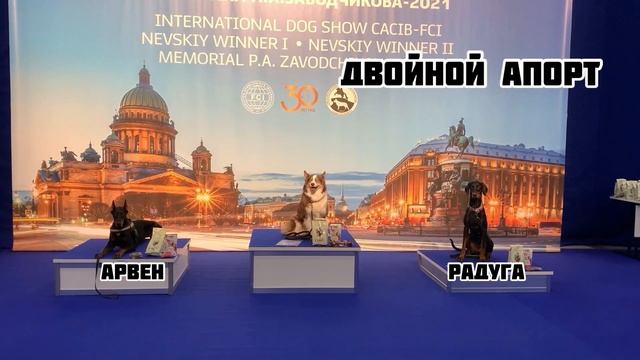 Зоошоу - крупнейшая в России выставка домашних животных смотреть онлайн