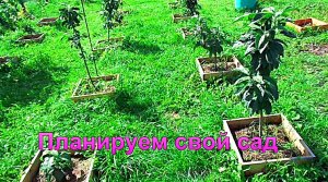 «Планирование нашего сада»#сад#огород#дача
