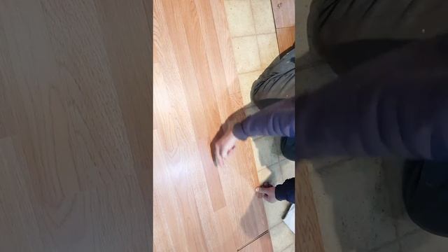 TrafficMaster Gladstone Oak Laminate Flooring Installation