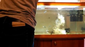 Как засыпать грунт в аквариум с водой