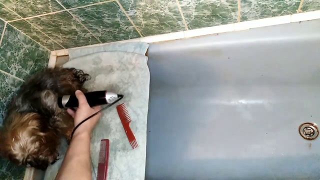 Йорки от А до Я. Купание Йорков. смотреть онлайн