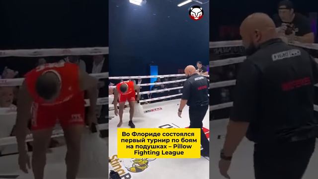 Бои на подушках: начало... смотреть онлайн
