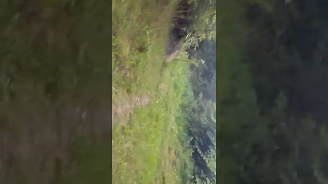 Стройка смерти смотреть онлайн