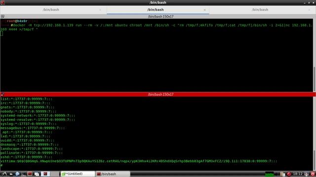 Hacking Remote Docker API Misconfiguration смотреть онлайн