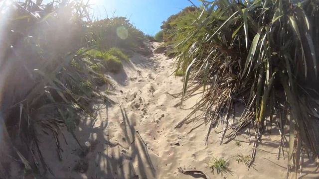 Virtual Treadmill Scenery | Virtual Run 25 Minutes 4K 60 | POV Running Video смотреть онлайн