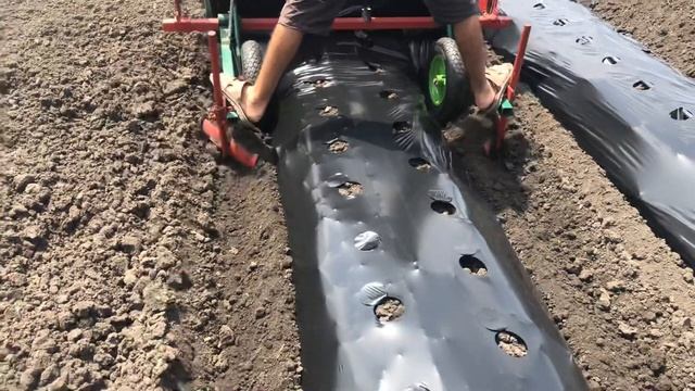 6 июля 2020 г. смотреть онлайн