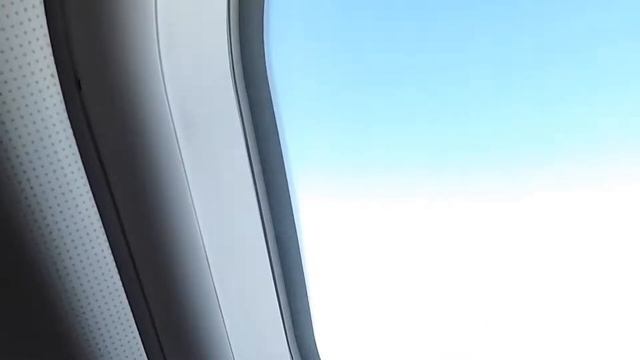 FLIGHT REPORT Aeroflot Airbus A330 MOSCOW (SVO) - ISTANBUL (IST) Business Class