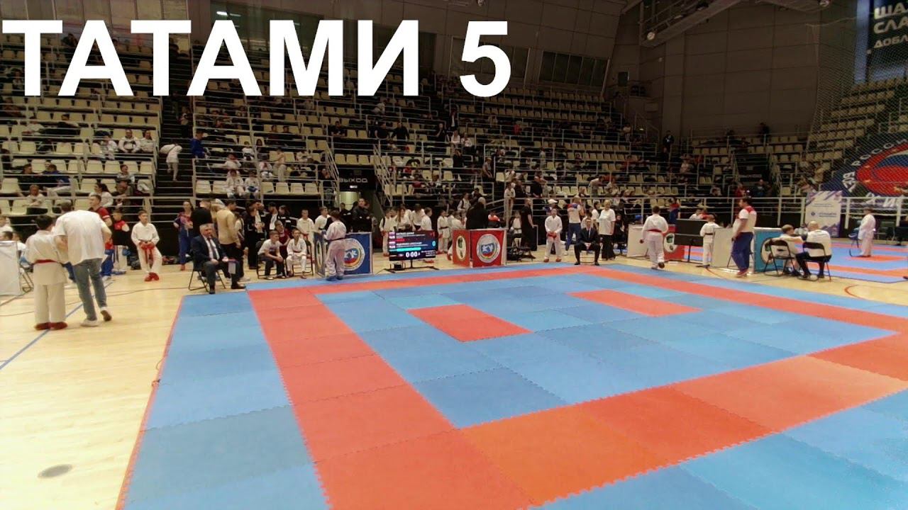ВС Престиж Кузбасса - татами 5 день 2 смотреть онлайн