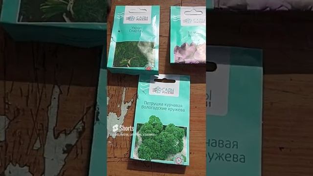 Сею базилик, петрушку и укроп для раннего потребления. смотреть онлайн