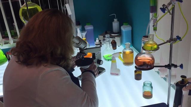 Выпуск 23. Сериал след. смотреть онлайн