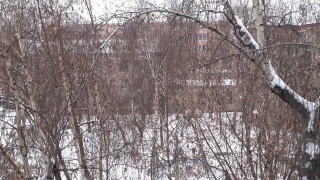 МАЛЕНЬКИЙ Снежок ?️