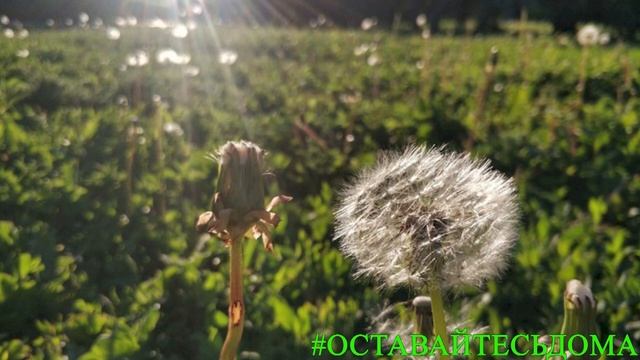 Всемирный день ветра смотреть онлайн