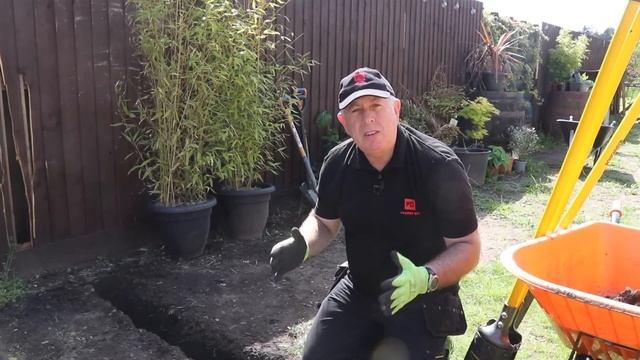 How to Plant Bamboo so it Doesn't Take Over Your Garden! смотреть онлайн