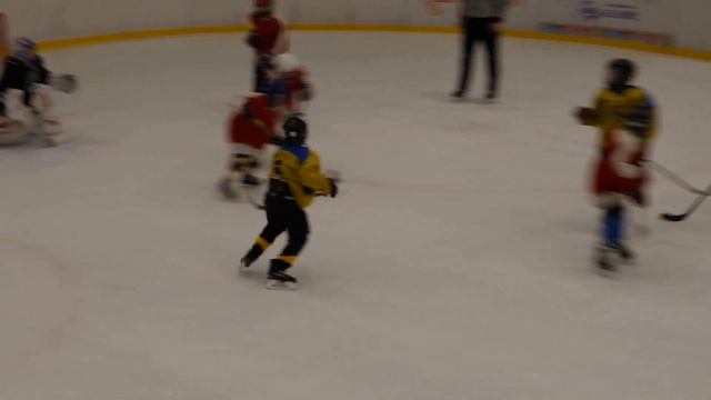 Falcons VS Scorpions #2 at Tnuvot 12.02.2022 смотреть онлайн