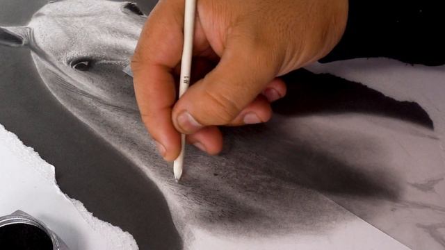 Unleashing my Inner Artist for 2 months straight! смотреть онлайн