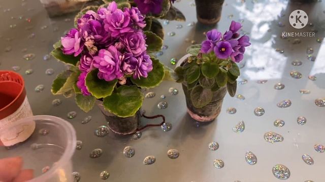 Всё о МИНИФИАЛКАХ с нуля. Ошибки новичка. смотреть онлайн