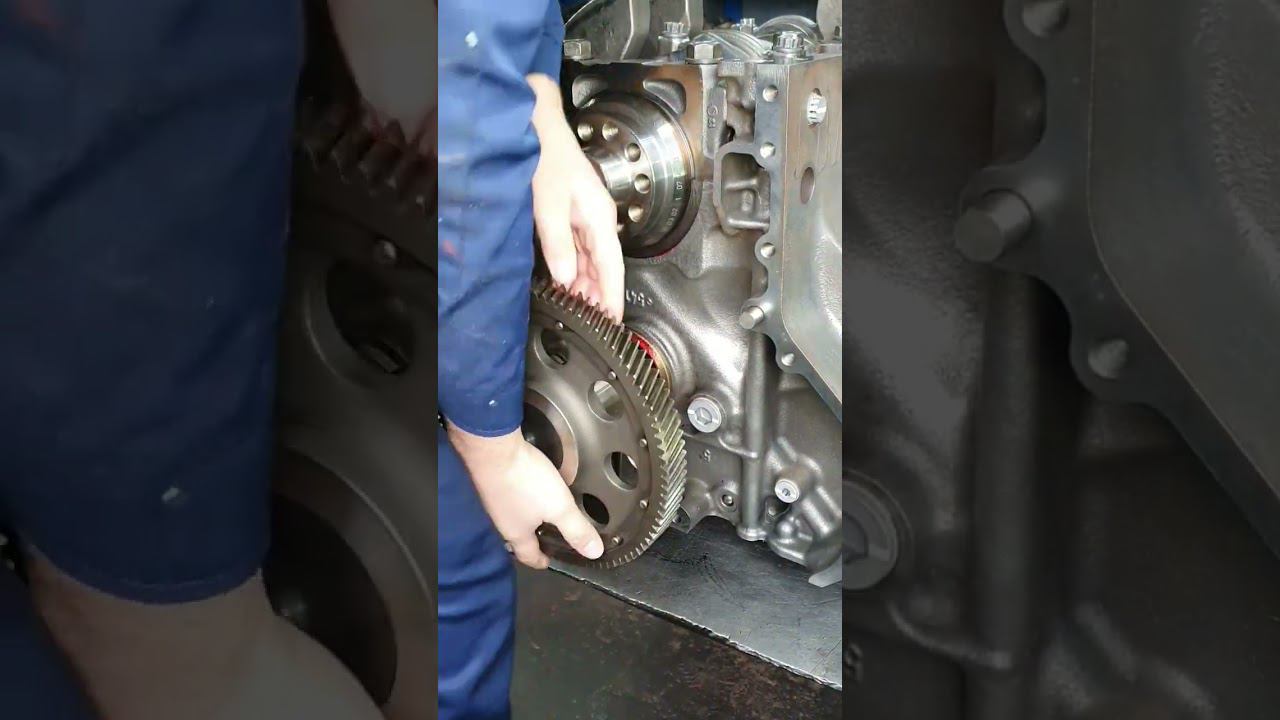 ОН ВЕЛИКОЛЕПЕН!!! смотреть онлайн