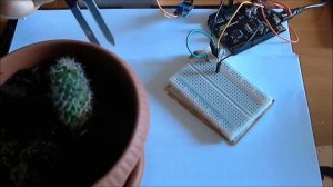 Датчик влажности почвы и Arduino