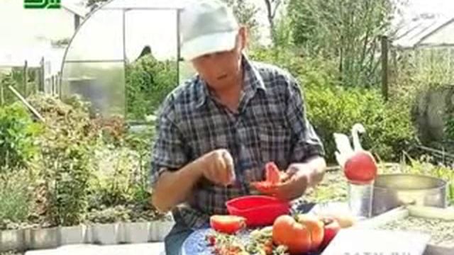 Золушка и заготовка семян томатов смотреть онлайн