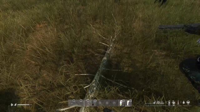 Прощальная с вилкой. Начальная с DayZ.